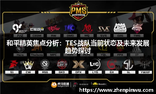 和平精英焦点分析：TES战队当前状态及未来发展趋势探讨