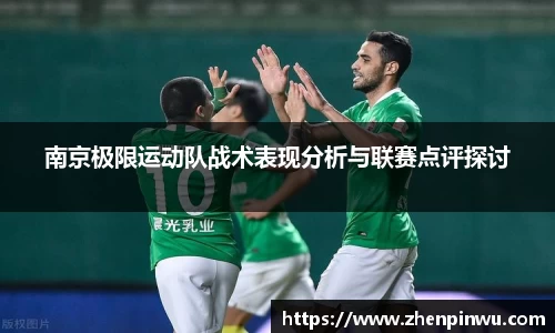 南京极限运动队战术表现分析与联赛点评探讨